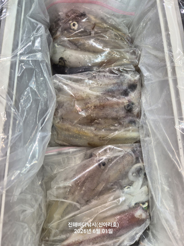 바다꾼낚시(신아라호)_사진_20260601_16.jpg