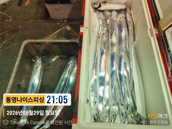 2026-06-29 21.05.03__(제목-통영나이스피싱).jpg