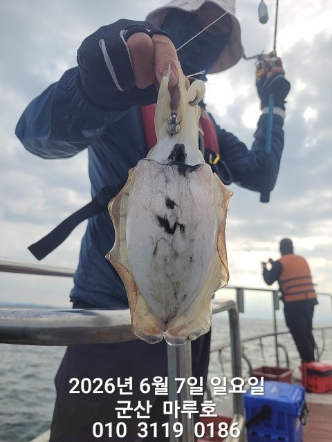 KakaoTalk_20260607_074220450.jpg