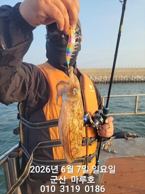 KakaoTalk_20260607_074223585.jpg