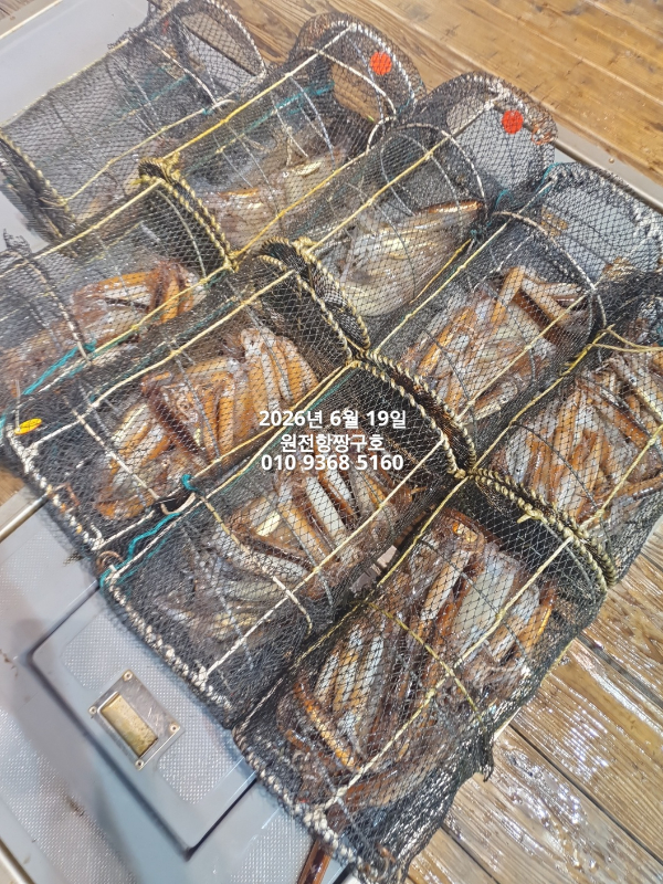 KakaoTalk_20260619_151552774_06.jpg
