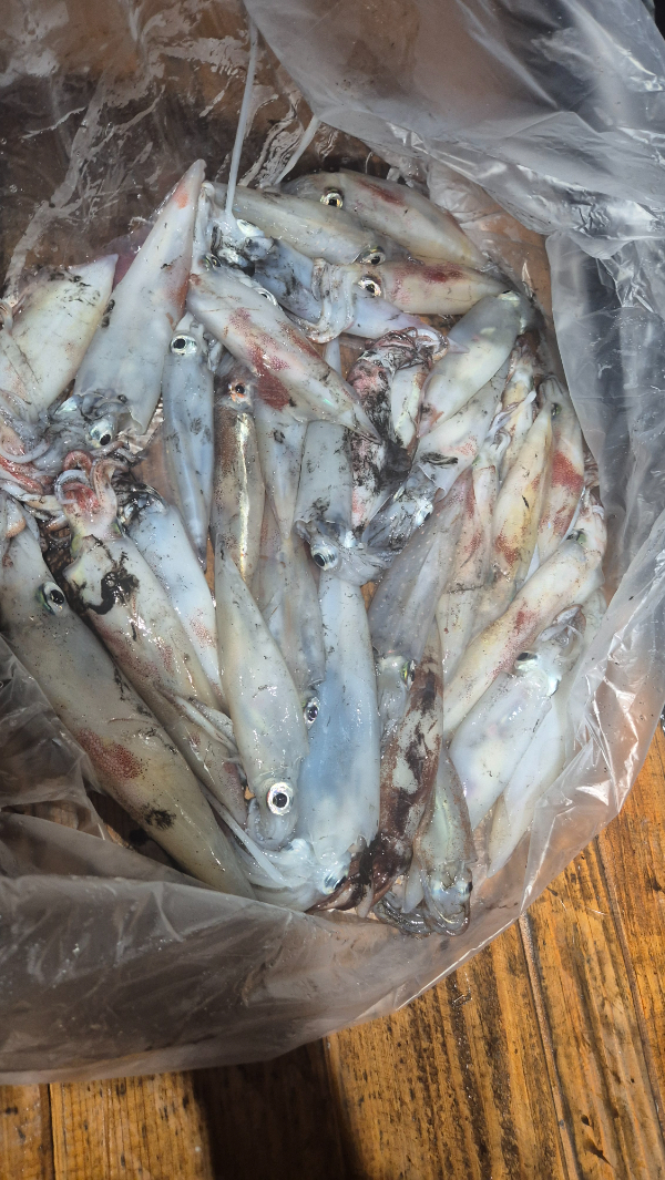 20260618_035149.jpg