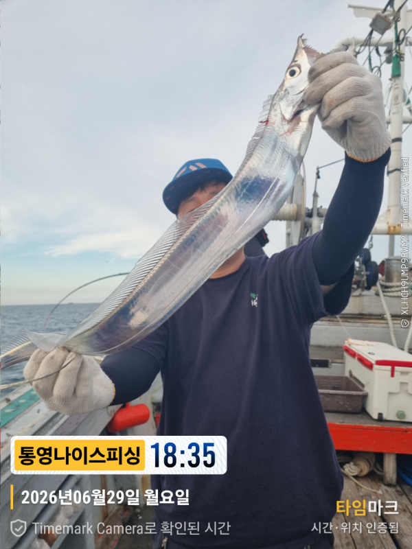 2026-06-29 18.35.15__(제목-통영나이스피싱).jpg