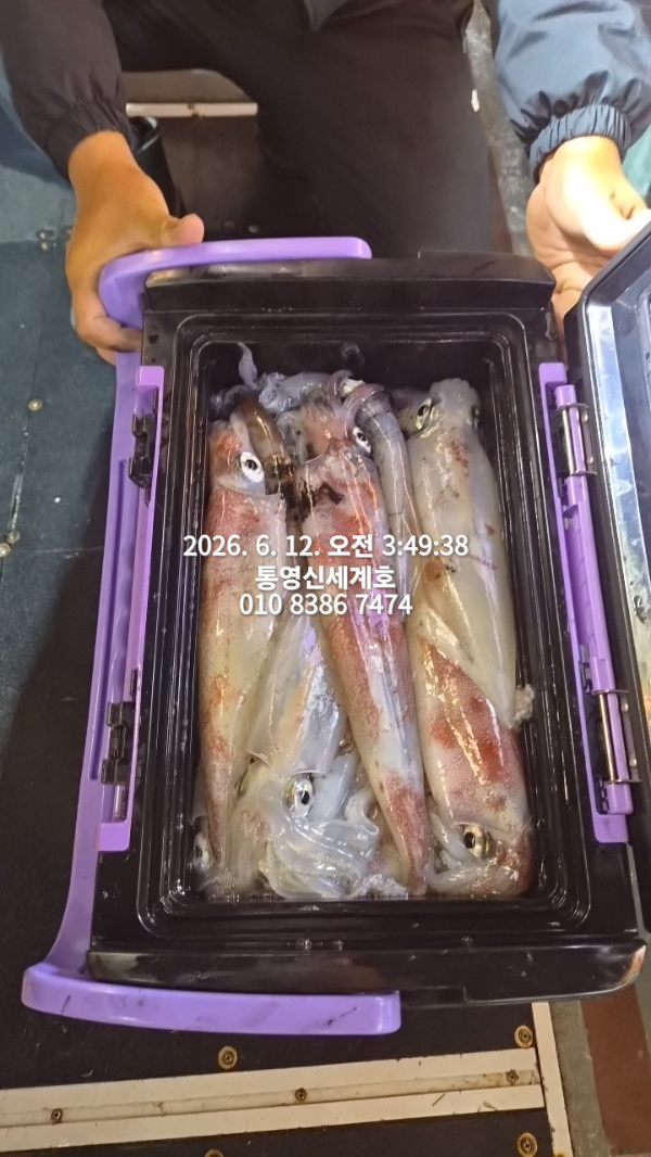 1781212213923.jpg