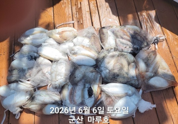 KakaoTalk_20260606_150628974.jpg