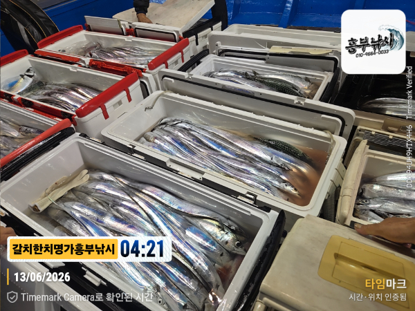 2026-06-13 04.21.32__(제목-갈치한치명가흥부낚시).jpg
