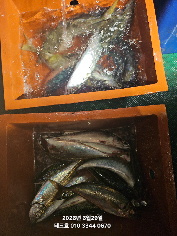 KakaoTalk_20260630_020617596.jpg