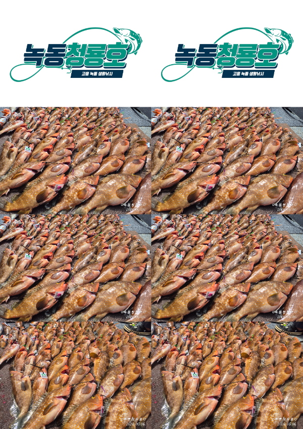 1000060743.jpg