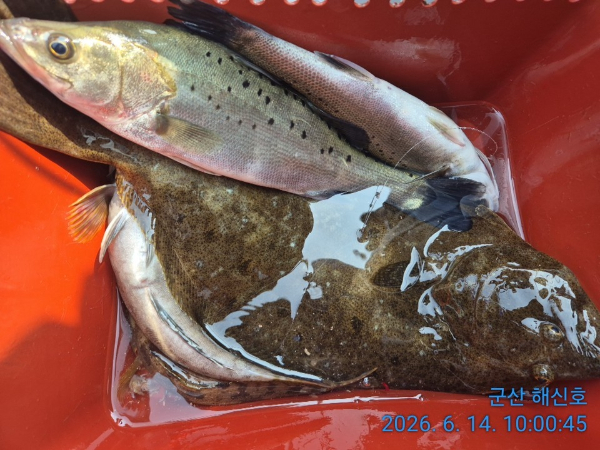 군산해신호_사진_20260614_11.jpg