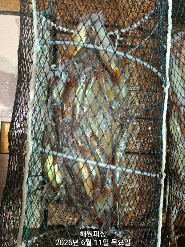1000035510.jpg