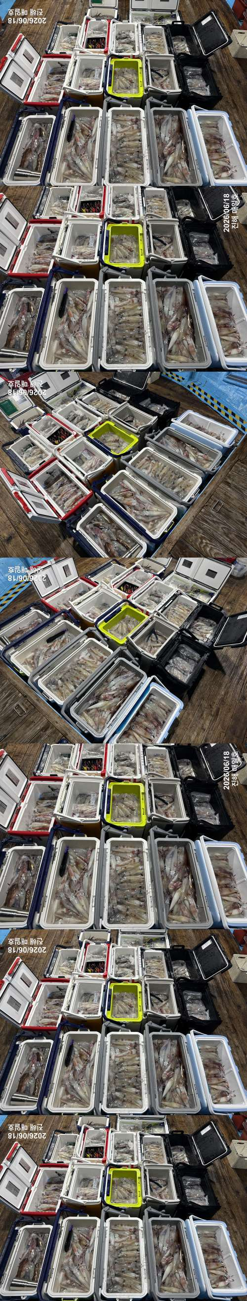 왕한치4.jpg