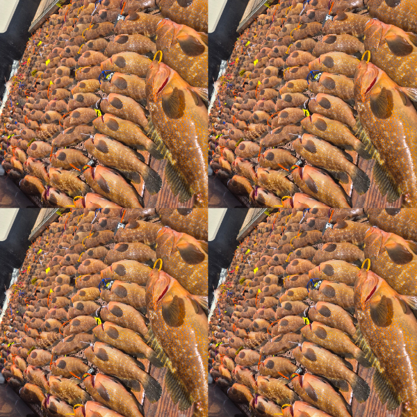 1000060825.jpg