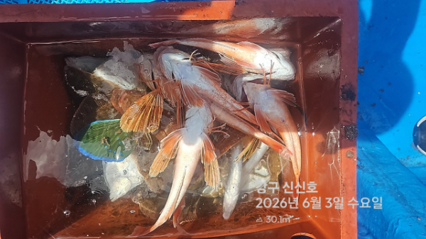 신신낚시 강구점 신신호_사진_20260603_13.jpg