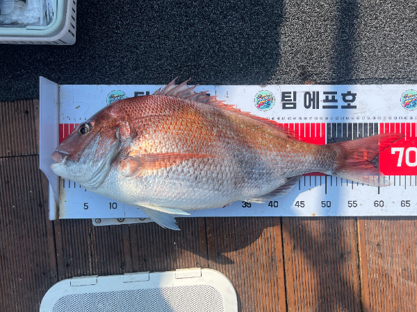 KakaoTalk_20260617_173517839_19.jpg