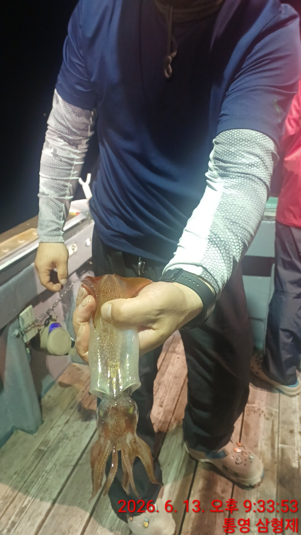 KakaoTalk_20260614_110313887_17.jpg