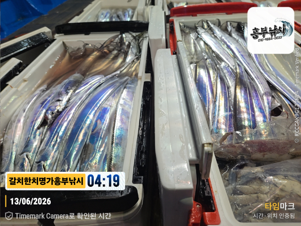 2026-06-13 04.19.51__(제목-갈치한치명가흥부낚시).jpg