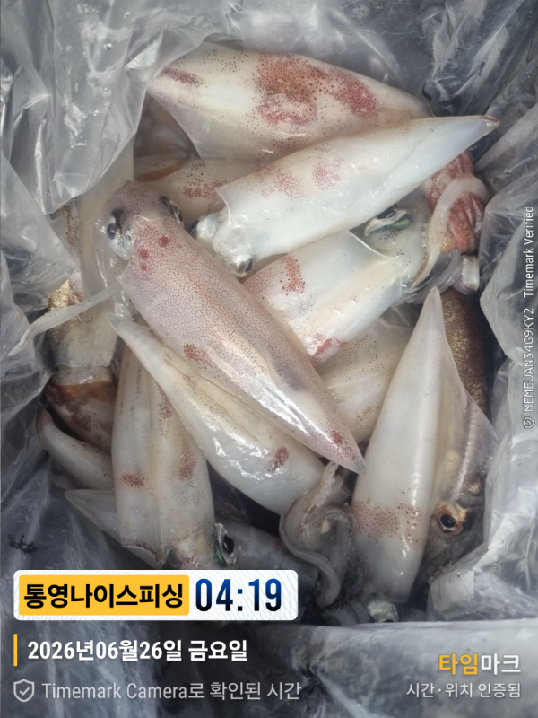 2026-06-26 04.19.03__(제목-통영나이스피싱).jpg