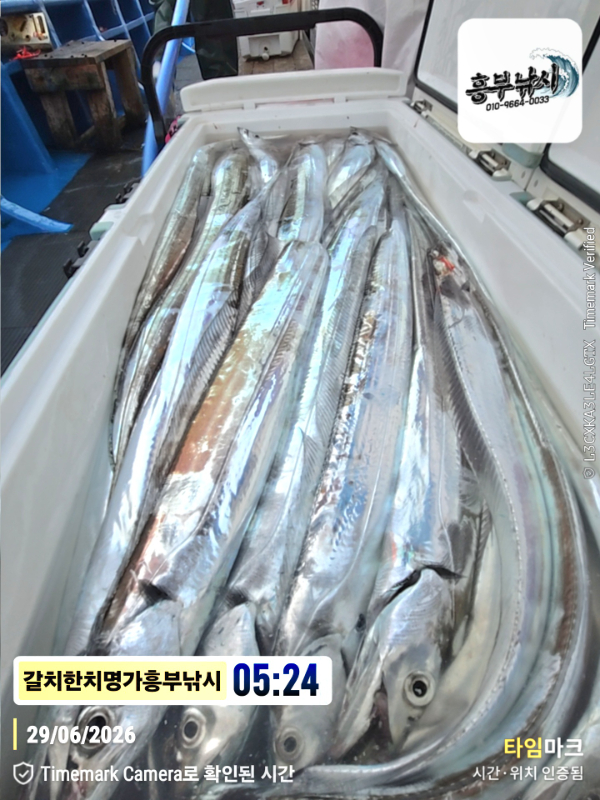 2026-06-29 05.24.26__(제목-갈치한치명가흥부낚시).jpg