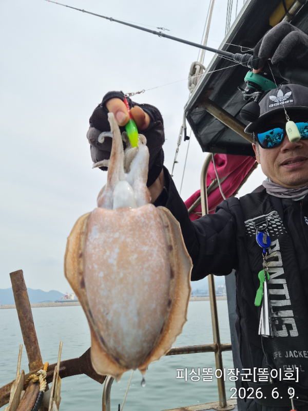 IMG_20260609_095749.jpg