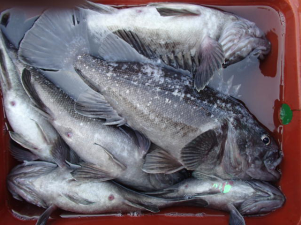 205.JPG