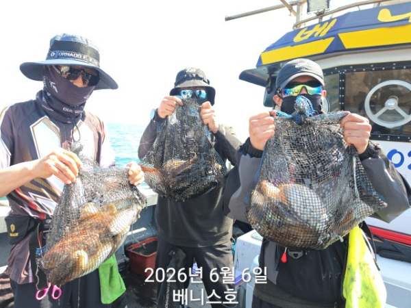 KakaoTalk_20260606_154012781_01.jpg