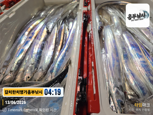2026-06-13 04.19.49__(제목-갈치한치명가흥부낚시).jpg