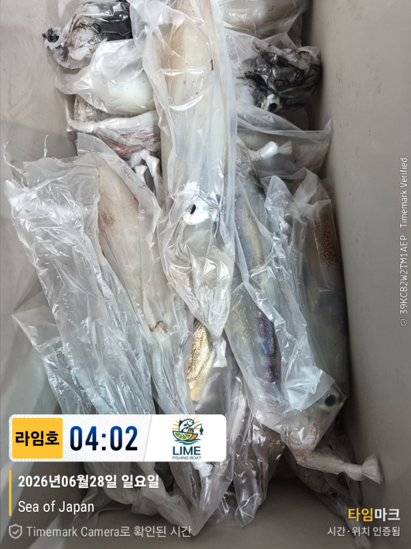 KakaoTalk_20260628_134018523_18.jpg