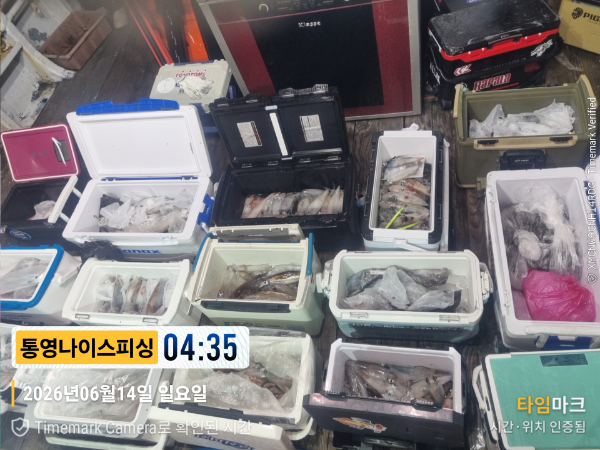 2026-06-14 04.35.15__(제목-통영나이스피싱).jpg