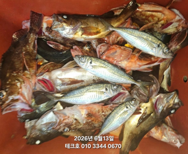 KakaoTalk_20260614_141425297_02.jpg