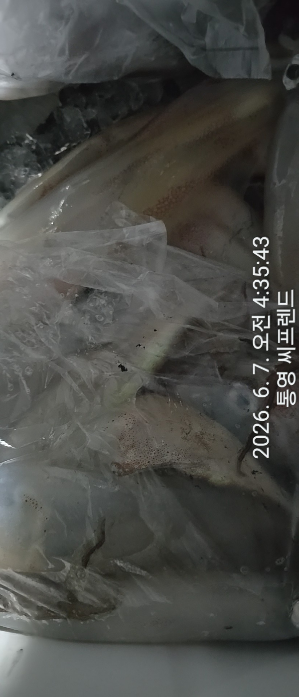 1780784294078.jpg