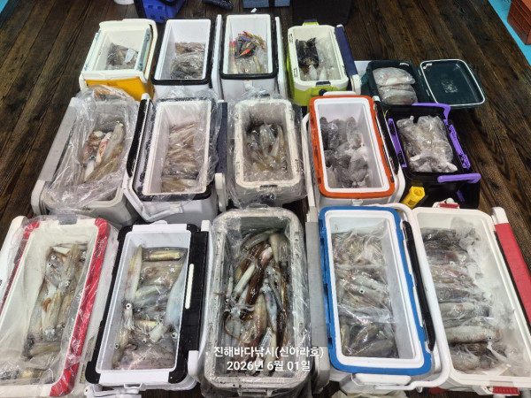바다꾼낚시(신아라호)_사진_20260601_2.jpg