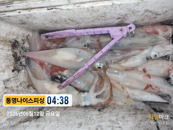 2026-06-12 04.38.25__(제목-통영나이스피싱).jpg