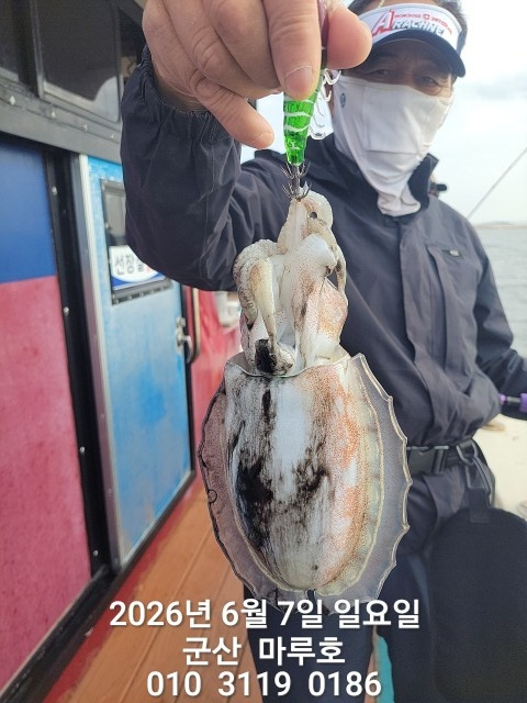 KakaoTalk_20260607_080251428.jpg