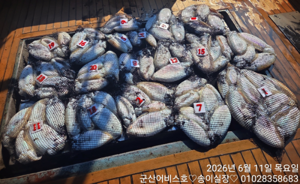1000025510.jpg