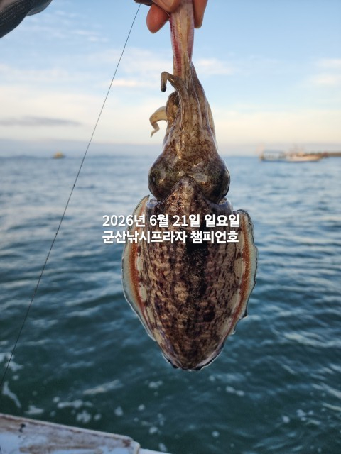 KakaoTalk_20260621_071531195_03.jpg