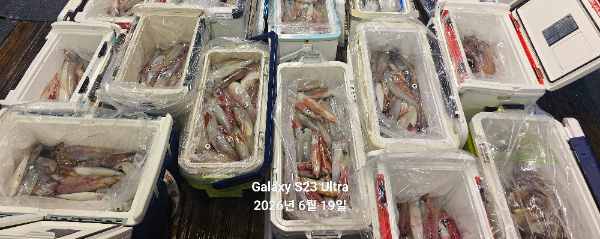 1000070330.jpg