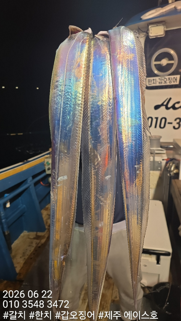 KakaoTalk_20260622_092142556_04.jpg