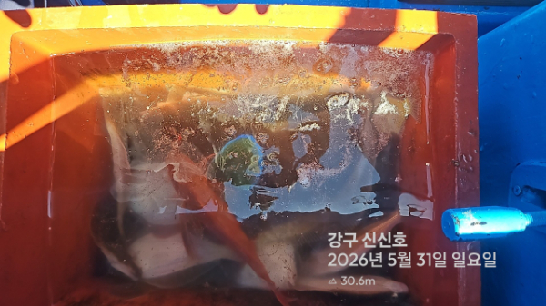 신신낚시 강구점 신신호_사진_20260531_18.jpg