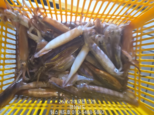 KakaoTalk_20260620_184643558.jpg