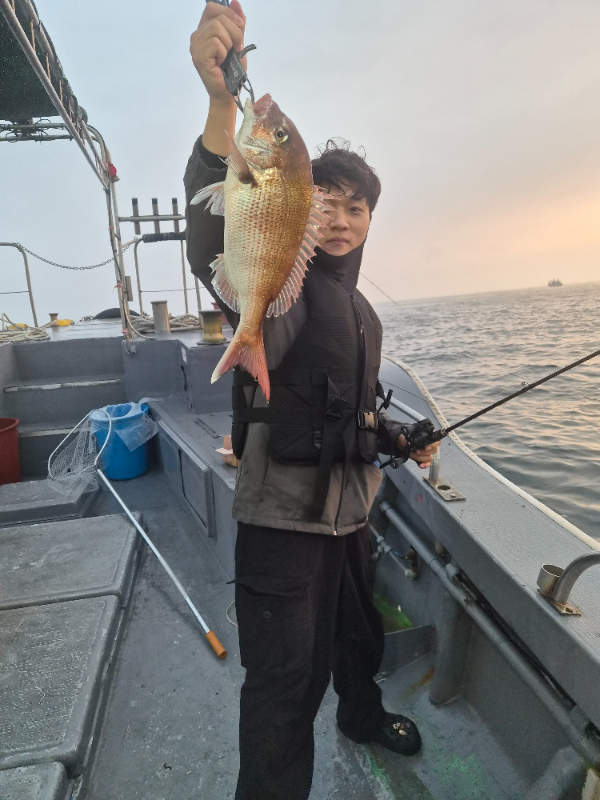 13030.jpg