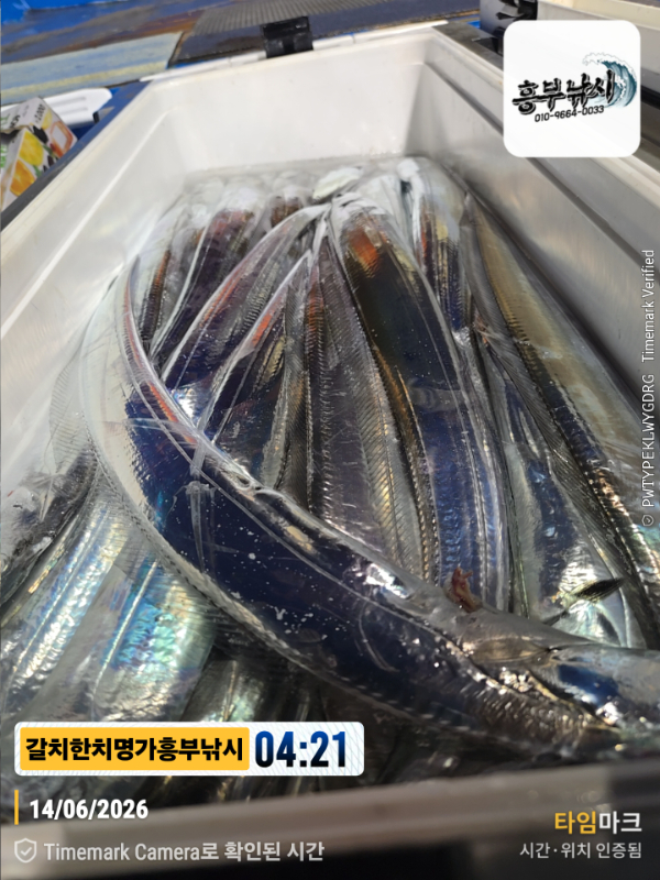 2026-06-14 04.21.27__(제목-갈치한치명가흥부낚시).jpg