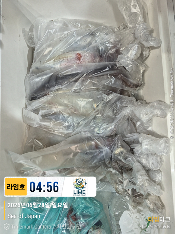 KakaoTalk_20260628_134018523_03.jpg