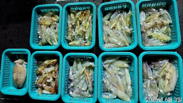 1000114022.jpg