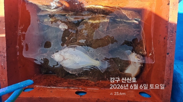 신신낚시 강구점 신신호_사진_20260606_9.jpg