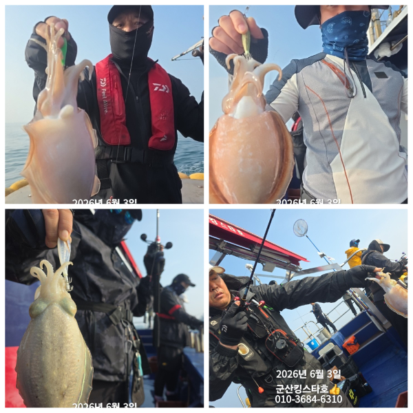 PhotoCollage_1780465561691.jpg