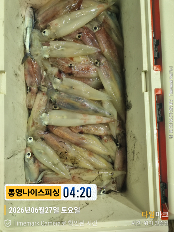 2026-06-27 04.20.12__(제목-통영나이스피싱).jpg