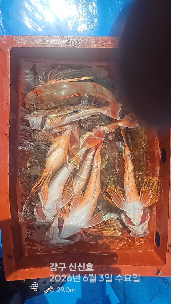 신신낚시 강구점 신신호_사진_20260603_6.jpg