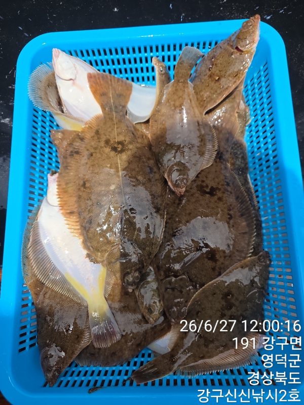 신신낚시 강구점 신신호_사진_20260627_1.jpg
