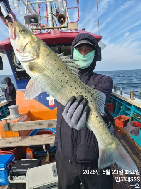 KakaoTalk_20260623_091026983_17.jpg