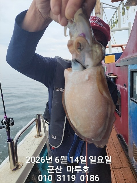 KakaoTalk_20260614_071928636.jpg